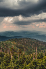 View from Clingman's Dome 