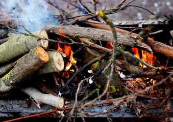Burning wood in a brazier. Fire.