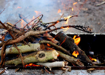 Burning wood in a brazier. Fire.