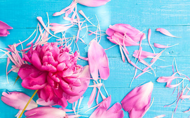peony flower surrounded divorced petals on the wooden background