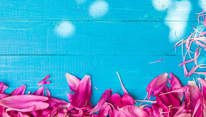 peony petals on a blue wooden background