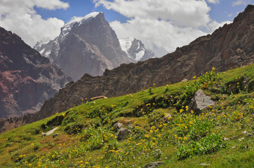 Nature landscape with alpine meadow and mountain peaks in the background. Fann mountains, Pamir-Alay, Tajikistan. - 138881337