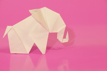 
Paper origami elephant isolated on a colorful background