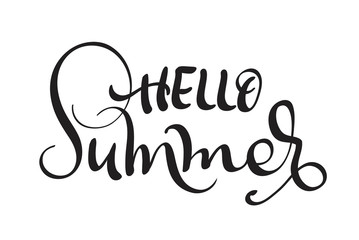 Hello Summer text isolated on white background. calligraphy and lettering