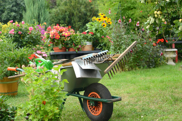 Garten 748