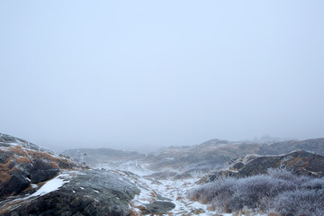 Foggy winter landscape