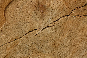 Fototapeta premium Tło Drewno Kamień Niebo