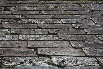 Wood Stone Sky