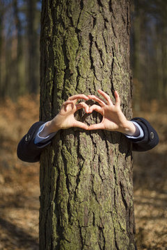 heart symbol and protection of trees in the forest