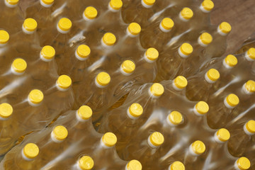 Cooking oil in plastic container