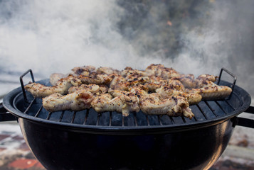 Delicious chicken wings on garden grill