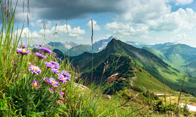 Great clear view from high mountain with flowers in foreground.
