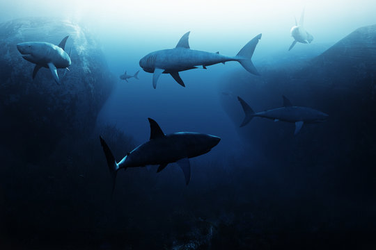 Shark encounter,Large school of sharks patrolling underwater. 3d rendering