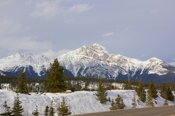 Fototapeta na wymiar Canadian rocky mountains in winter