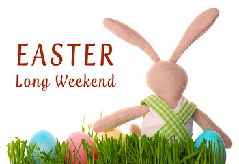 Easter bunny with eggs on white background