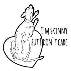 Vector illustration of a very thin Italian greyhound