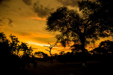 Sunset landscape in Africa