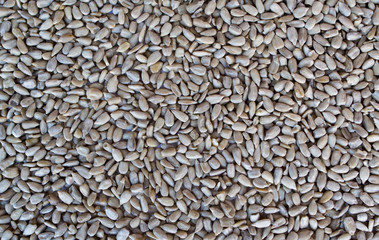 sunflower seeds