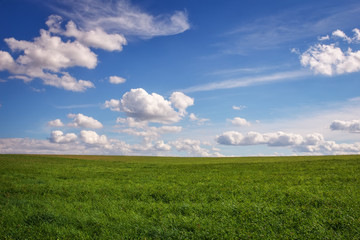 Obraz premium Beautiful green field and blue cloudy sky.