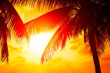 Fototapete Palme Sonnenuntergangsstrand mit Palmen und schöner Himmellandschaft. Schöne Kokospalmen-Silhouetten über orangefarbener Sonne