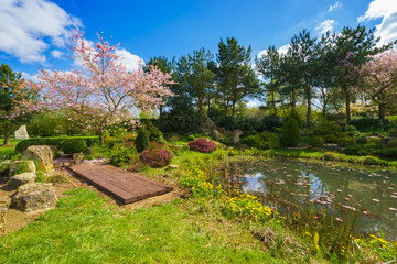 Asian garden  sunny autumn day 