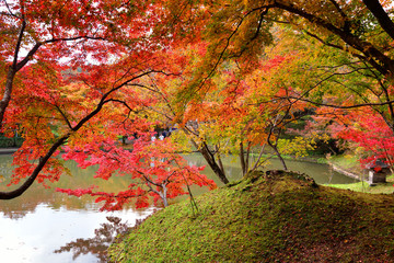 用作公園の紅葉