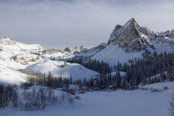 Fototapeta na wymiar Lake Blanche in winter