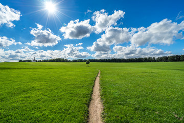 Meadow with path to single tree at Willen Lakeside Park with Peace Pagoda temple in the backgrund. Summer in Milton Keynes,England