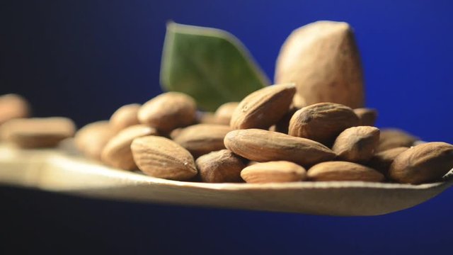 Mandorle &Alpha;&mu;ύ&gamma;&delta;&alpha;&lambda;&omicron; Almonds Almendra Mandorla  አልመንድ Amandel noot Almond Amande Migdały 