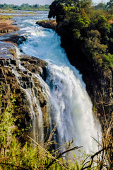 Landscape in Victoria Falls