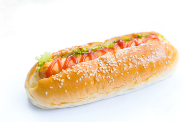 Hotdog on white background