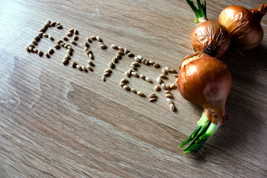 Easter Inscription from grains on wooden background with bulbs of onion
