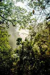 Landscape in Victoria Falls