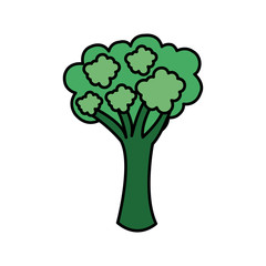 colorful vegetable broccoli icon, vector illustraction design image