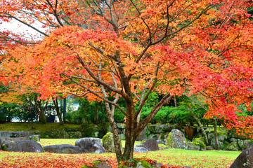 Naklejka premium 耶馬渓ダム記念公園の紅葉