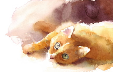 Watercolor Ginger Tabby Cat Laying Down Hand Drawn Pet Portrait Illustration  - 138902372
