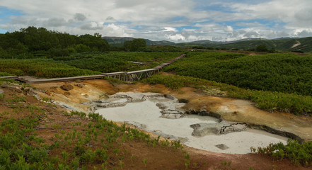 Obraz premium Beautiful summer landscape in the Uzon Caldera. Kronotsky Nature Reserve