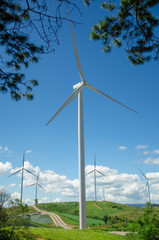 Fototapeta na wymiar wind turbines field with blue sky