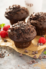 Double chocolate muffins with raspberry