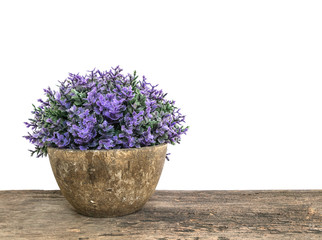 Closeup artificial plant in pot for decorate on blurred old brown wooden desk isolated on white background with copy space