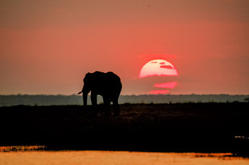 Fototapeta na wymiar Red sky in Africa
