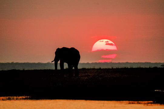 Red sky in Africa
