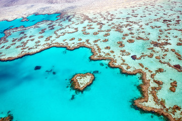Heart Reef Whitsundays © Tanya