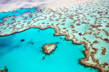 Tuinposter Heart Reef Whitsundays © Tanya