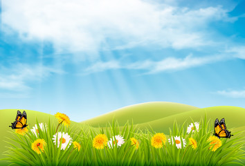 Fototapeta premium Spring nature landscape background with flowers and butterflies. Vector.