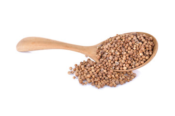 dried coriander seeds in wooden spoon and on white background