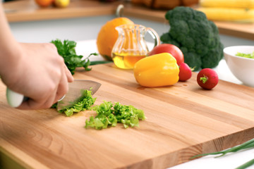 Close up of  woman's hands cooking in the kitchen. Housewife slicing ​​fresh salad. Vegetarian and healthily cooking concept