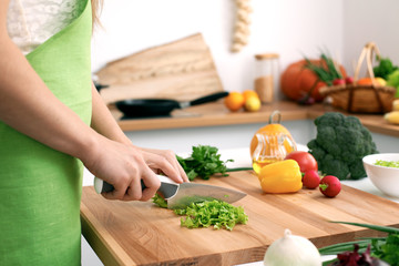 Close up of  woman's hands cooking in the kitchen. Housewife slicing ​​fresh salad. Vegetarian and healthily cooking concept
