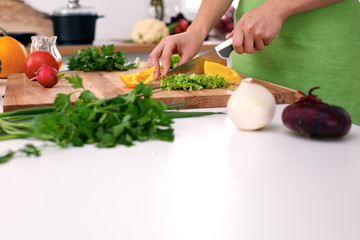 Close up of  woman's hands cooking in the kitchen. Housewife slicing ​​fresh salad. Vegetarian and healthily cooking concept
