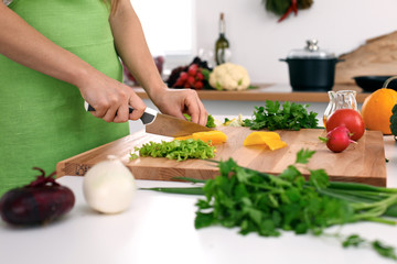 Close up of  woman's hands cooking in the kitchen. Housewife slicing ​​fresh salad. Vegetarian and healthily cooking concept